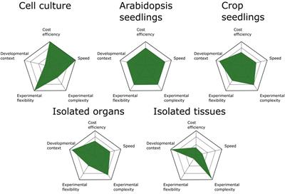 Recent Trends in Plant Protein Complex Analysis in a Developmental Context